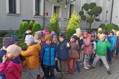 IMG_20221028_090316
