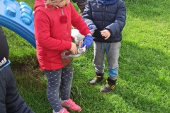 IMG_20221005_113250