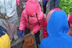 IMG_20221005_113834