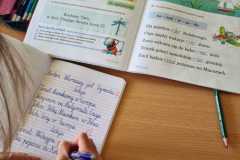 IMG-20220621-WA0020