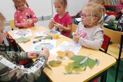 IMG-20211013-WA0016