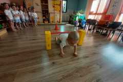 IMG-20230406-WA0033