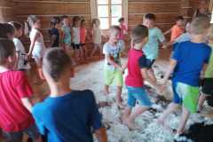 IMG-20230621-WA0012
