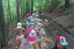 IMG-20230621-WA0022