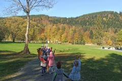 IMG_20221018_103523