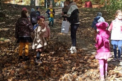 IMG_20221018_105450