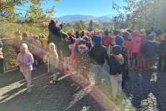 IMG-20221018-WA0000