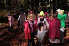 IMG-20221018-WA0012