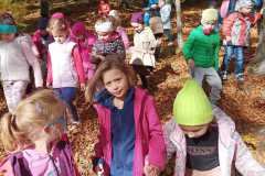 IMG-20221018-WA0013