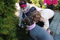 IMG-20230421-WA0068